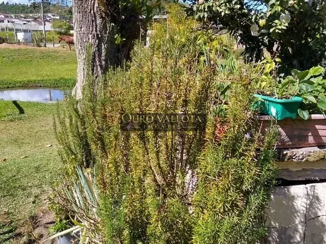 Chácara com 85000m² 5 quartos e 5 banheiros, à venda, no bairro Turvo em Tapiraí
