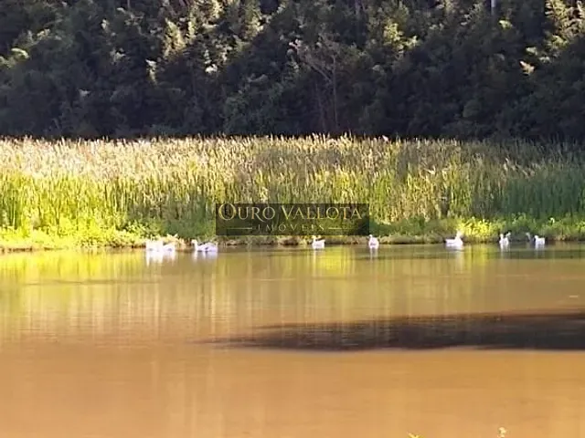 Chácara com 85000m² 5 quartos e 5 banheiros, à venda, no bairro Turvo em Tapiraí