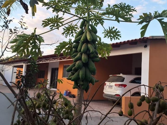 Chácara à venda, Morada dos Pássaros, Aparecida de Goiânia, GO