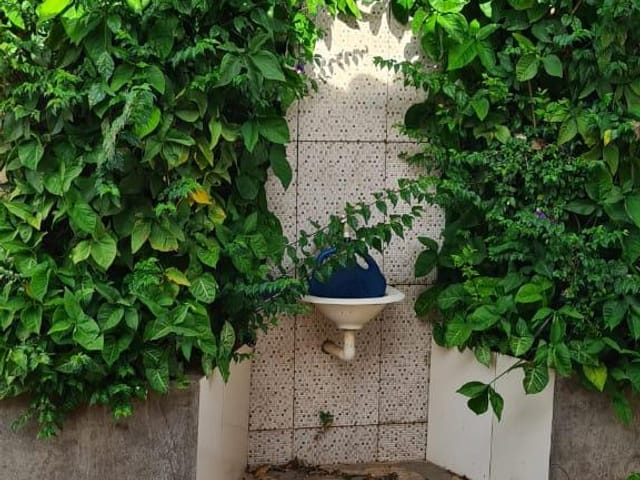 Chácara à venda, Morada dos Pássaros, Aparecida de Goiânia, GO