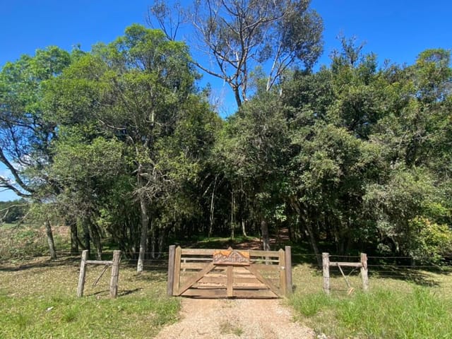 Chácara com 72603m², à venda, no bairro Centro em Itaiacoca