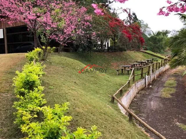 Sítio com 7m², à venda, no bairro Correia de Freitas em Apucarana