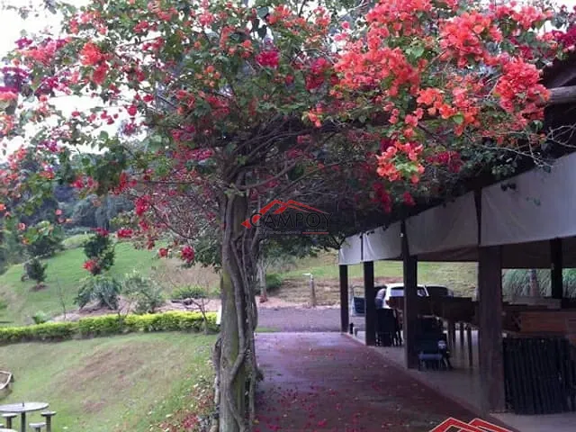 Sítio com 7m², à venda, no bairro Correia de Freitas em Apucarana