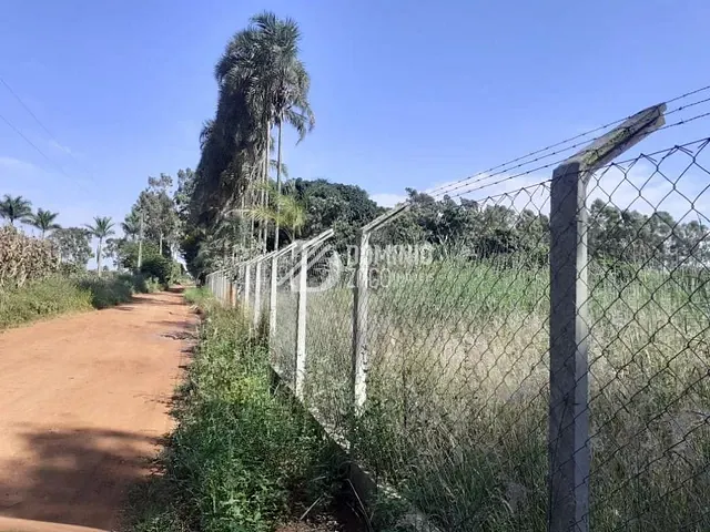 Chácara com 29210m² 2 quartos e 1 banheiro, à venda, no bairro Chácaras São Basílio em Uberaba