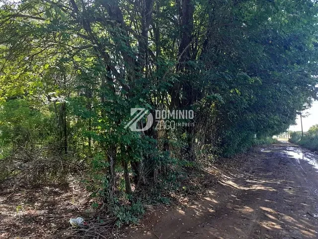 Chácara com 29210m² 2 quartos e 1 banheiro, à venda, no bairro Chácaras São Basílio em Uberaba