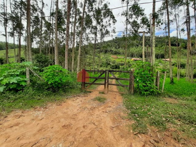 Chácara com 7000m², à venda, no bairro Zona Rural em Lagoinha
