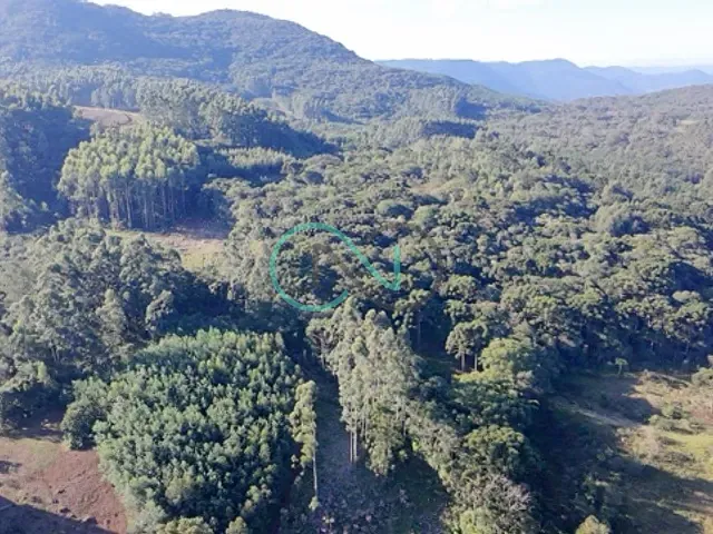Terreno com 472550m², à venda, no bairro Picada São Jacob em Sapiranga