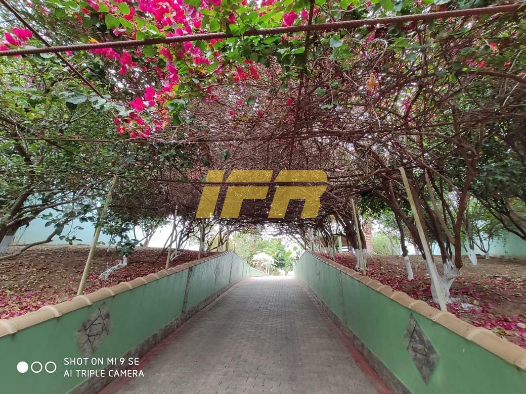 Chácara, 2 quartos, 1300 m² - Foto 21