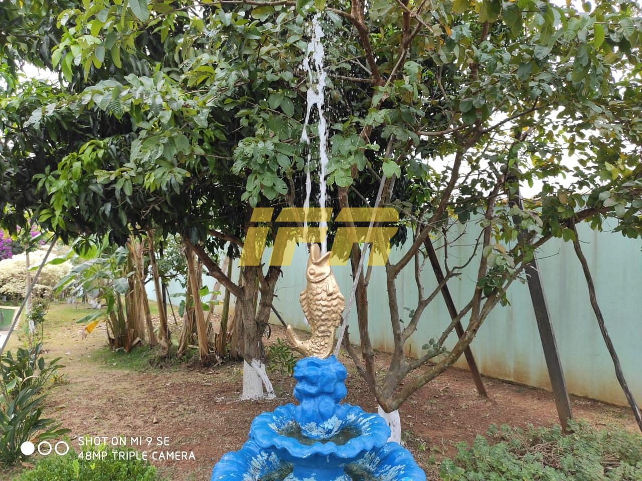 Chácara, 2 quartos, 1300 m² - Foto 17