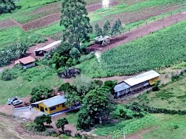 Chácara com 25000m² 2 quartos e 1 banheiro, à venda, no bairro Interior em Paverama