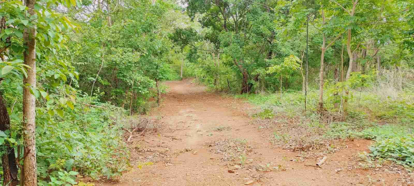 Chácara à venda com 4 quartos, 8400m² - Foto 47