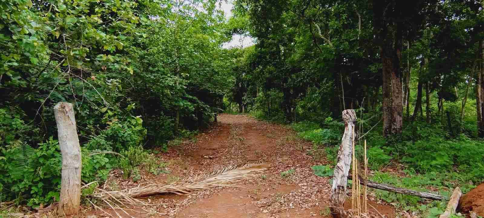 Chácara à venda com 4 quartos, 8400m² - Foto 49