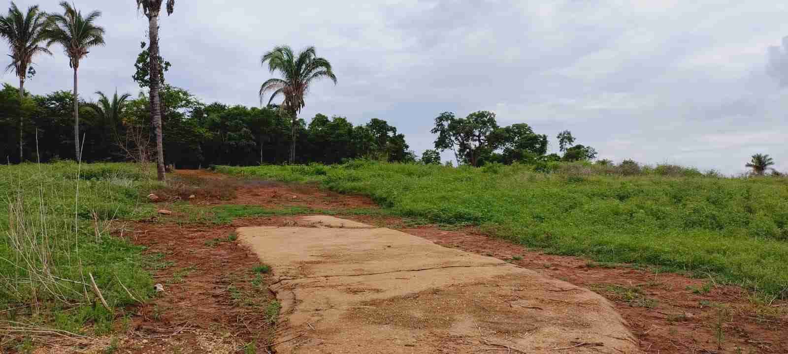 Chácara à venda com 4 quartos, 8400m² - Foto 44