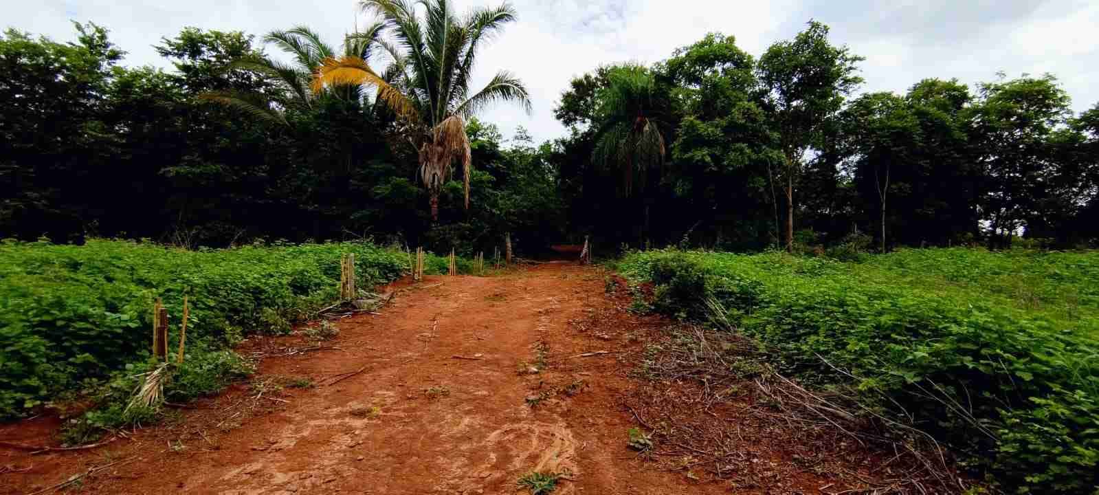 Chácara à venda com 4 quartos, 8400m² - Foto 45