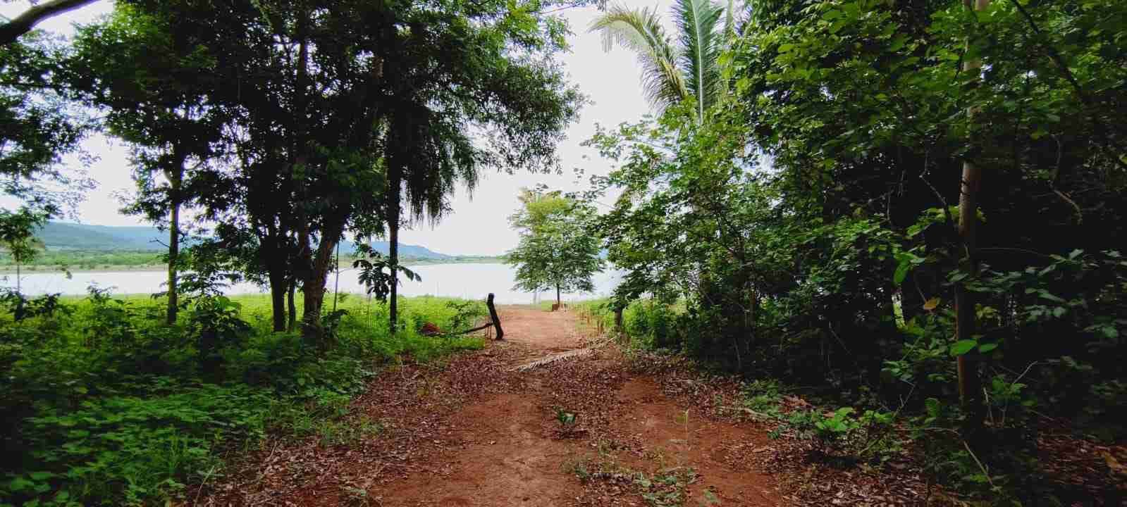 Chácara à venda com 4 quartos, 8400m² - Foto 46