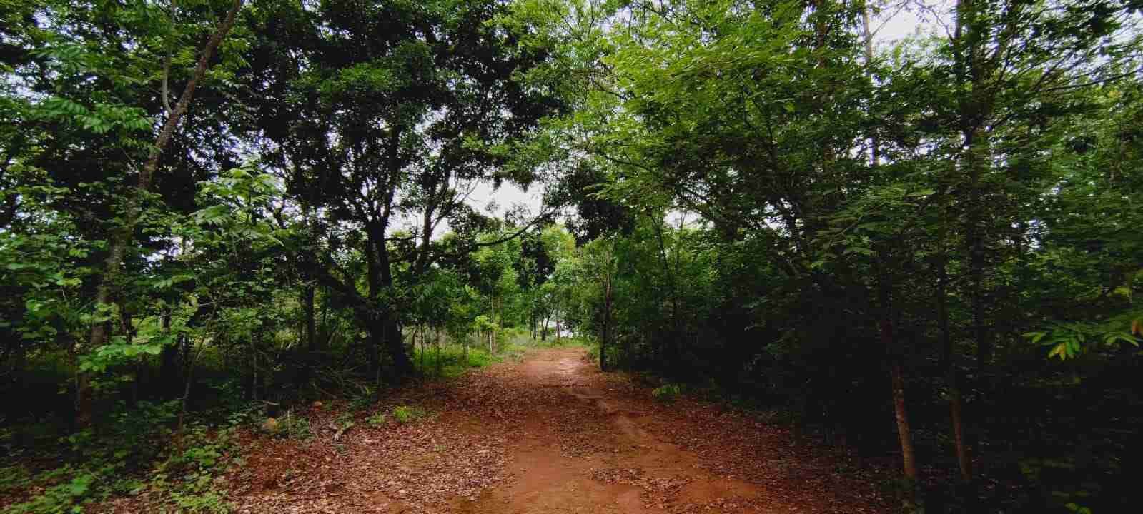 Chácara à venda com 4 quartos, 8400m² - Foto 43