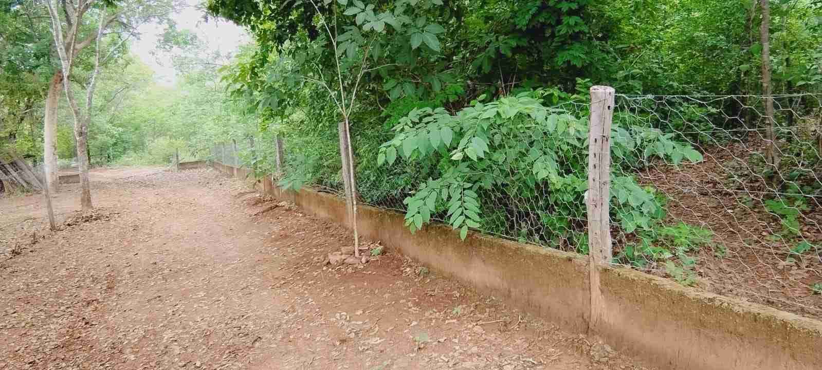Chácara à venda com 4 quartos, 8400m² - Foto 39