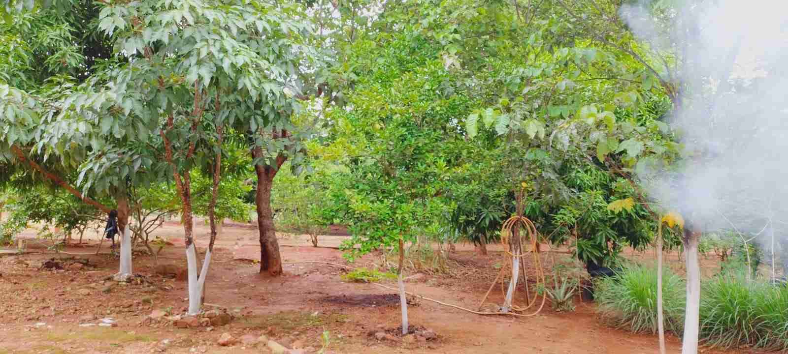 Chácara à venda com 4 quartos, 8400m² - Foto 33