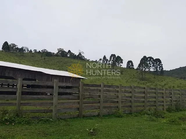 Fazenda com 248m² 1 quarto e 1 banheiro, à venda, no bairro Zona Rural em Campo Alegre