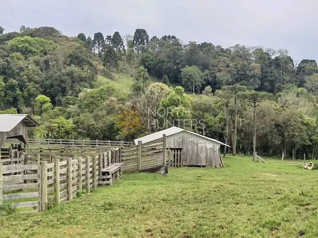 Fazenda com 248m² 1 quarto e 1 banheiro, à venda, no bairro Zona Rural em Campo Alegre