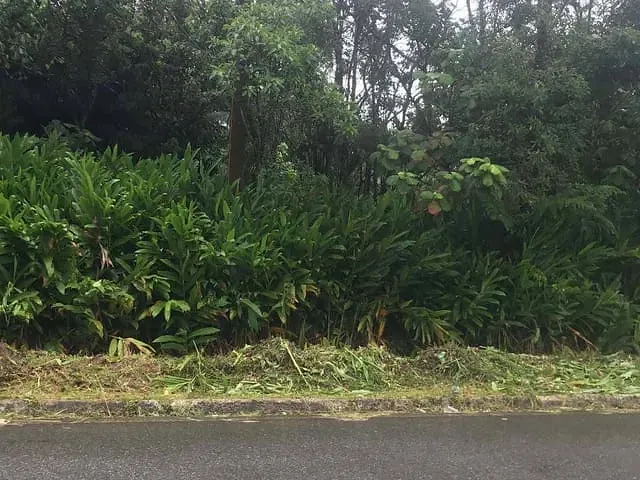 Chácara 1 quarto e 2 banheiros, à venda, no bairro Vila Nova California em Rio Grande da Serra