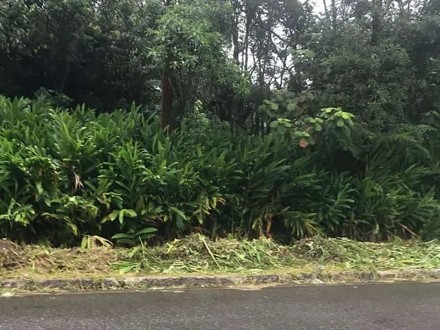 Chácara 1 quarto e 2 banheiros, à venda, no bairro Vila Nova California em Rio Grande da Serra