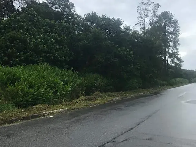 Chácara 1 quarto e 2 banheiros, à venda, no bairro Vila Nova California em Rio Grande da Serra