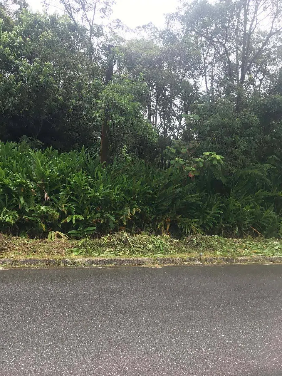 Terreno, 10 m² - Foto 3