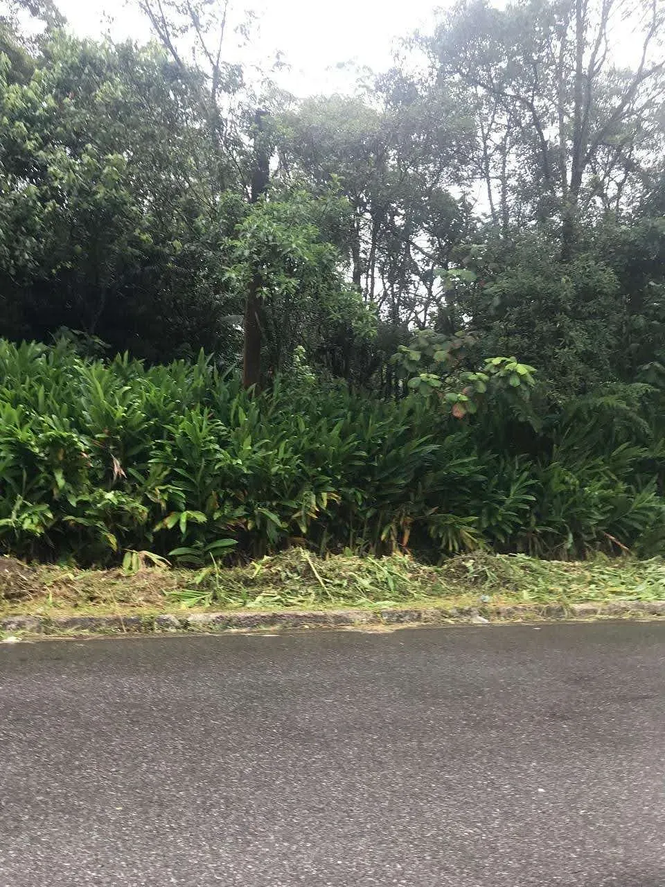 Terreno, 10 m² - Foto 4