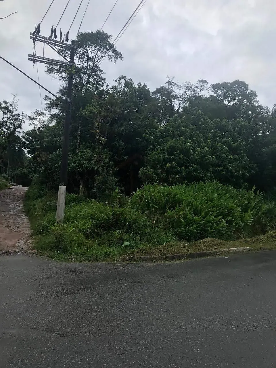 Terreno, 10 m² - Foto 6