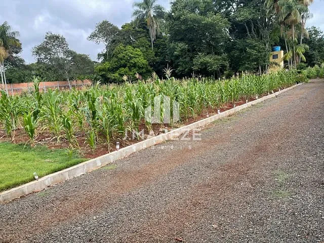 Chácara com 10000m², à venda, no bairro CHÁCARA NÚCLEO RECREATIVO BELVEDERE em Apucarana