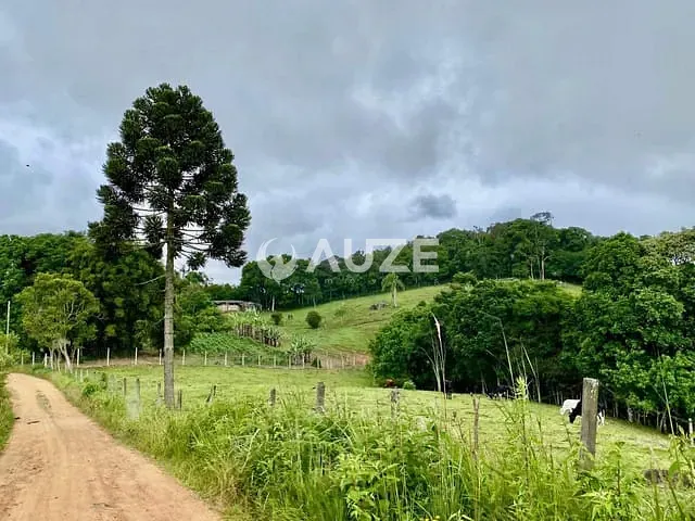 Chácara com 74718m² 3 quartos e 2 banheiros, à venda, no bairro Areia Branca Dos Assis em Mandirituba