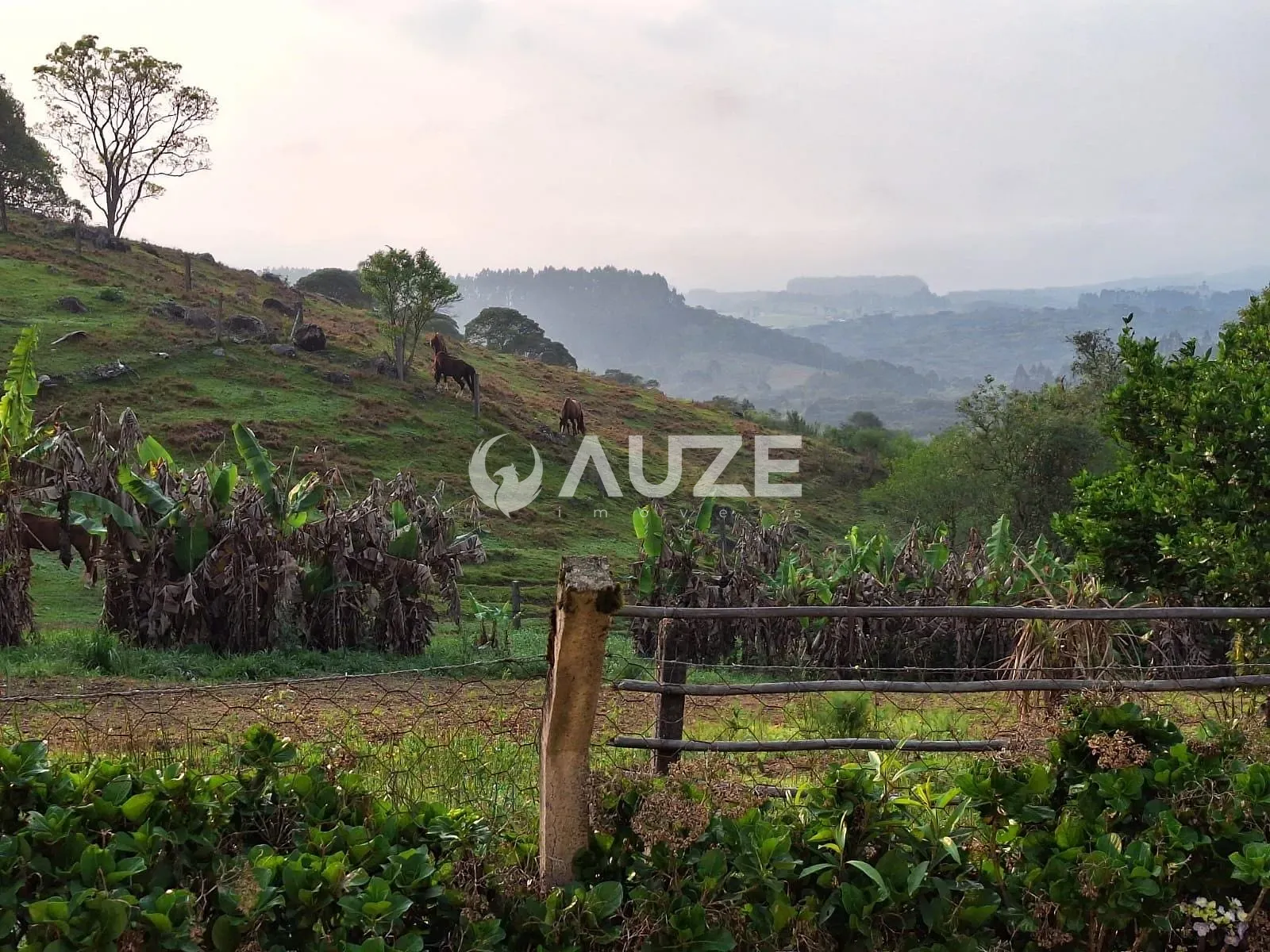 Chácara, 3 quartos, 7 hectares - Foto 12