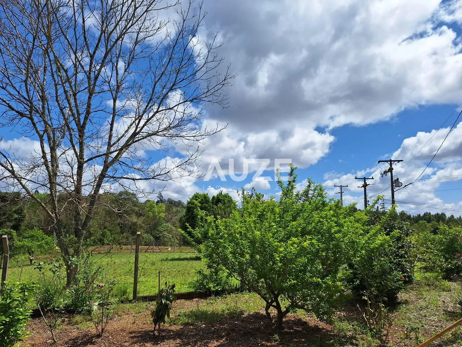 Chácara, 3 quartos, 7 hectares - Foto 4