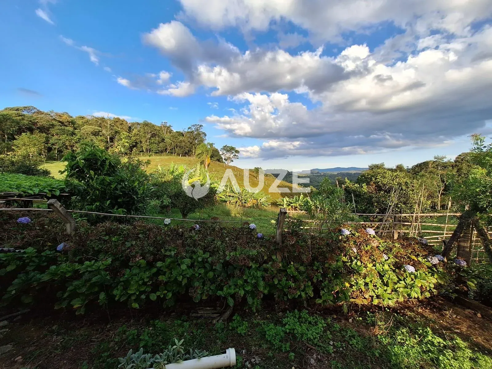 Chácara, 3 quartos, 7 hectares - Foto 6
