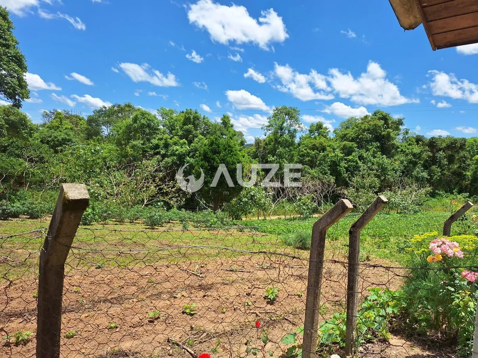 Chácara, 3 quartos, 7 hectares - Foto 8