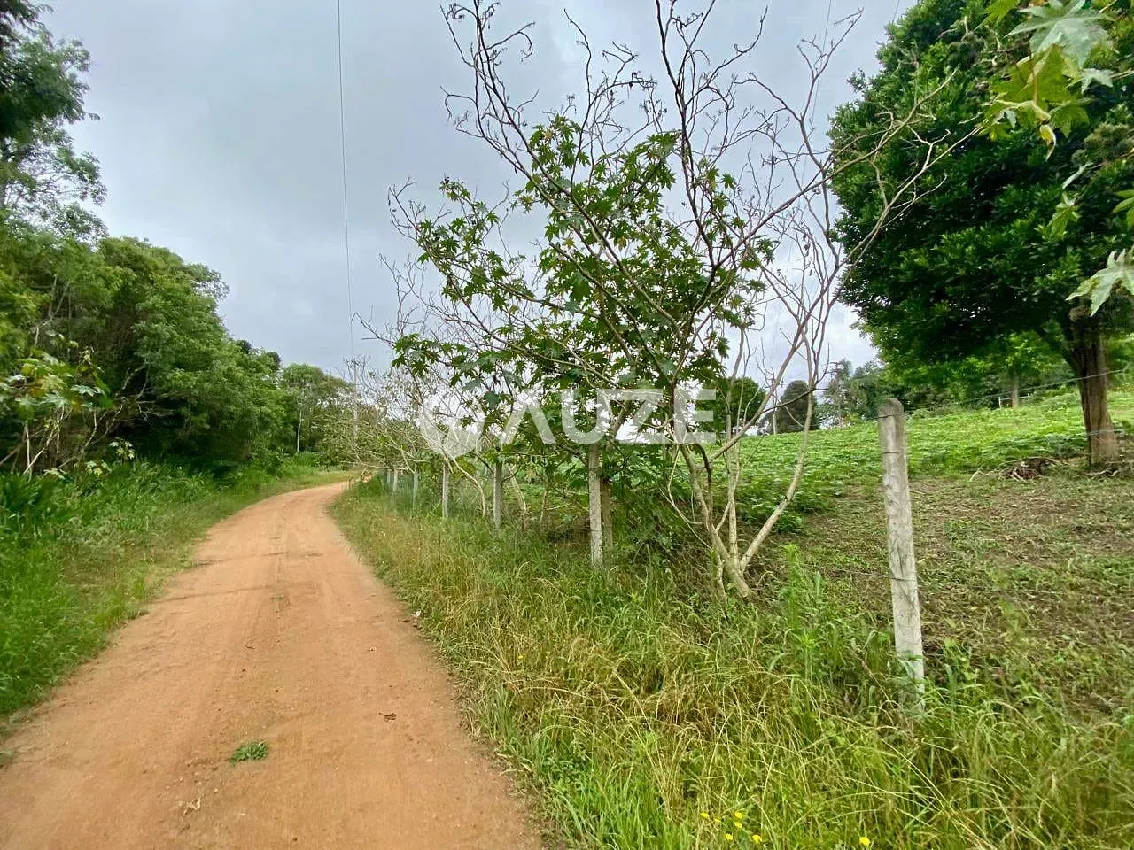 Chácara, 3 quartos, 7 hectares - Foto 31