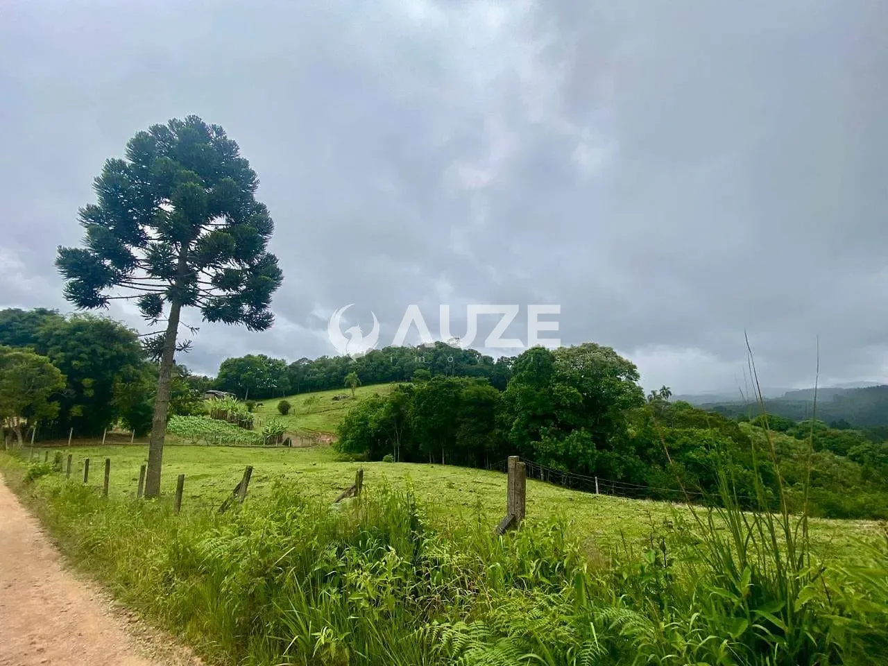 Chácara, 3 quartos, 7 hectares - Foto 36