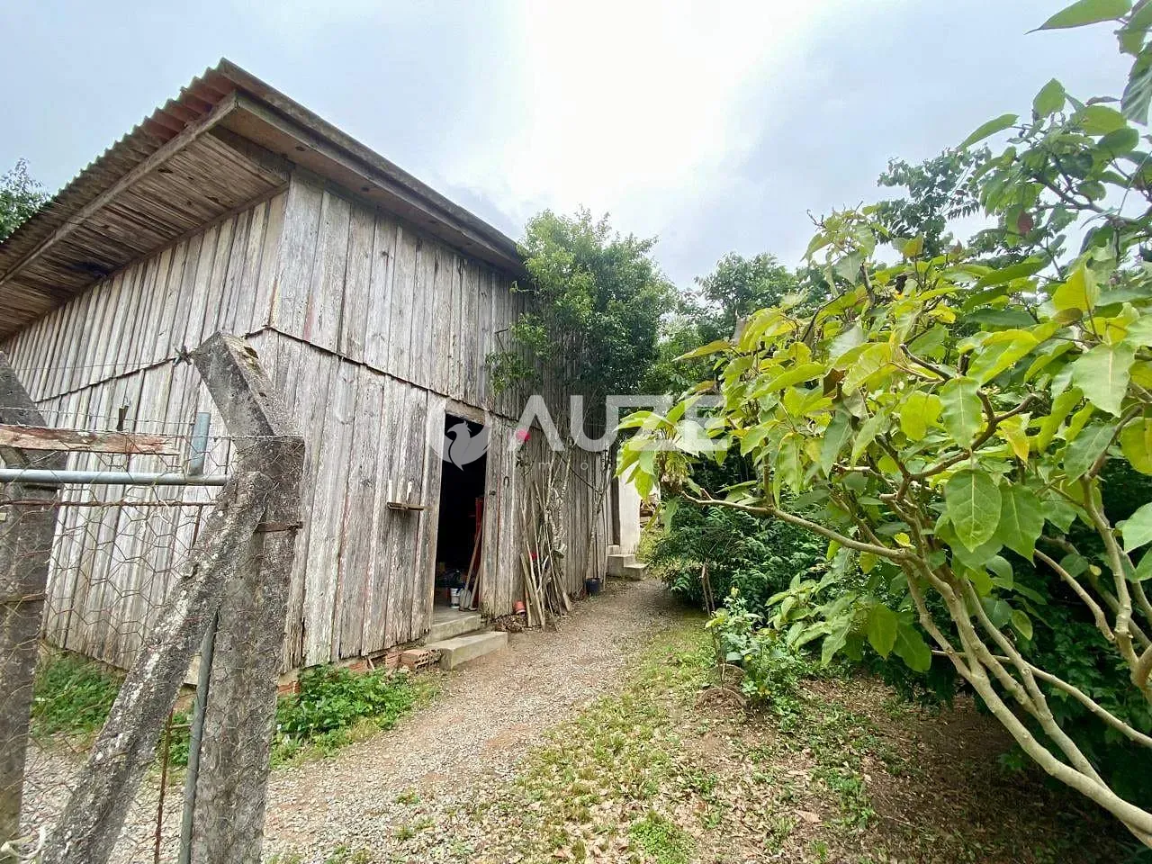 Chácara, 3 quartos, 7 hectares - Foto 49