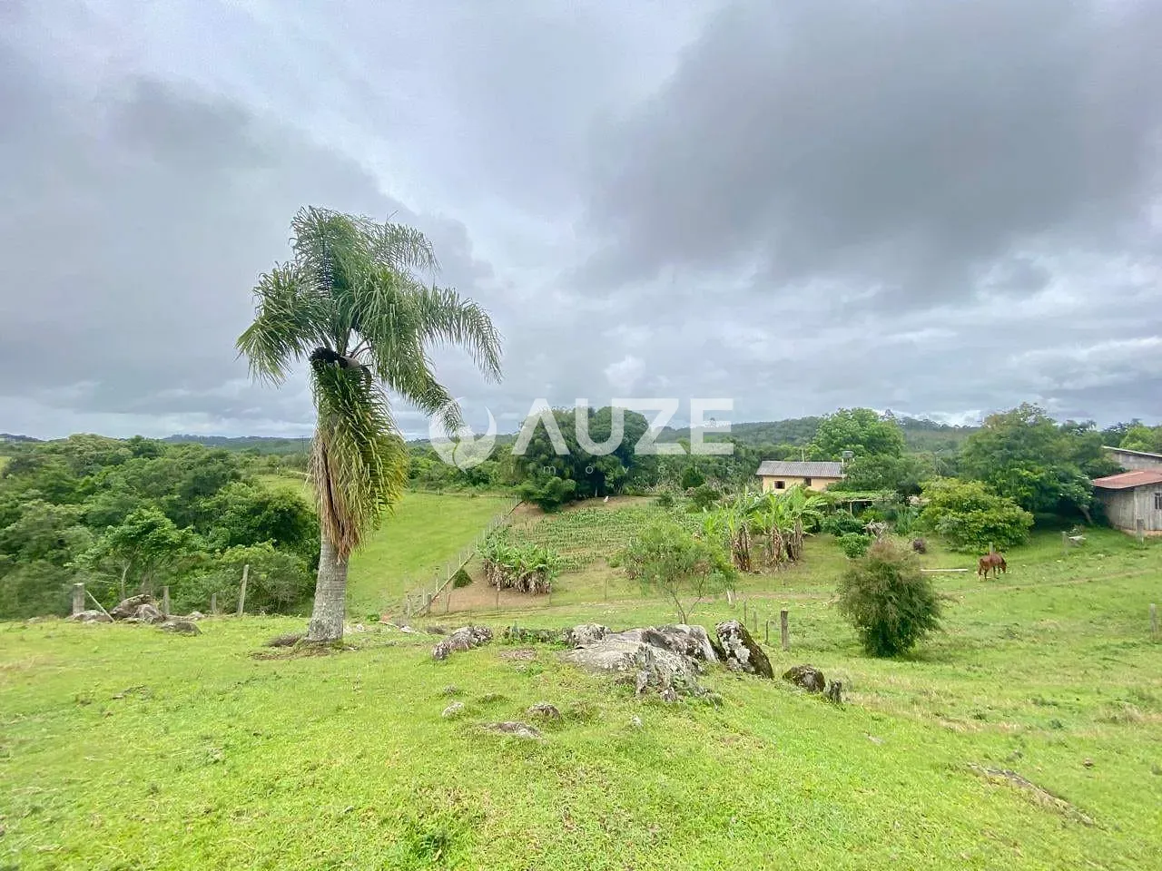 Chácara, 3 quartos, 7 hectares - Foto 61