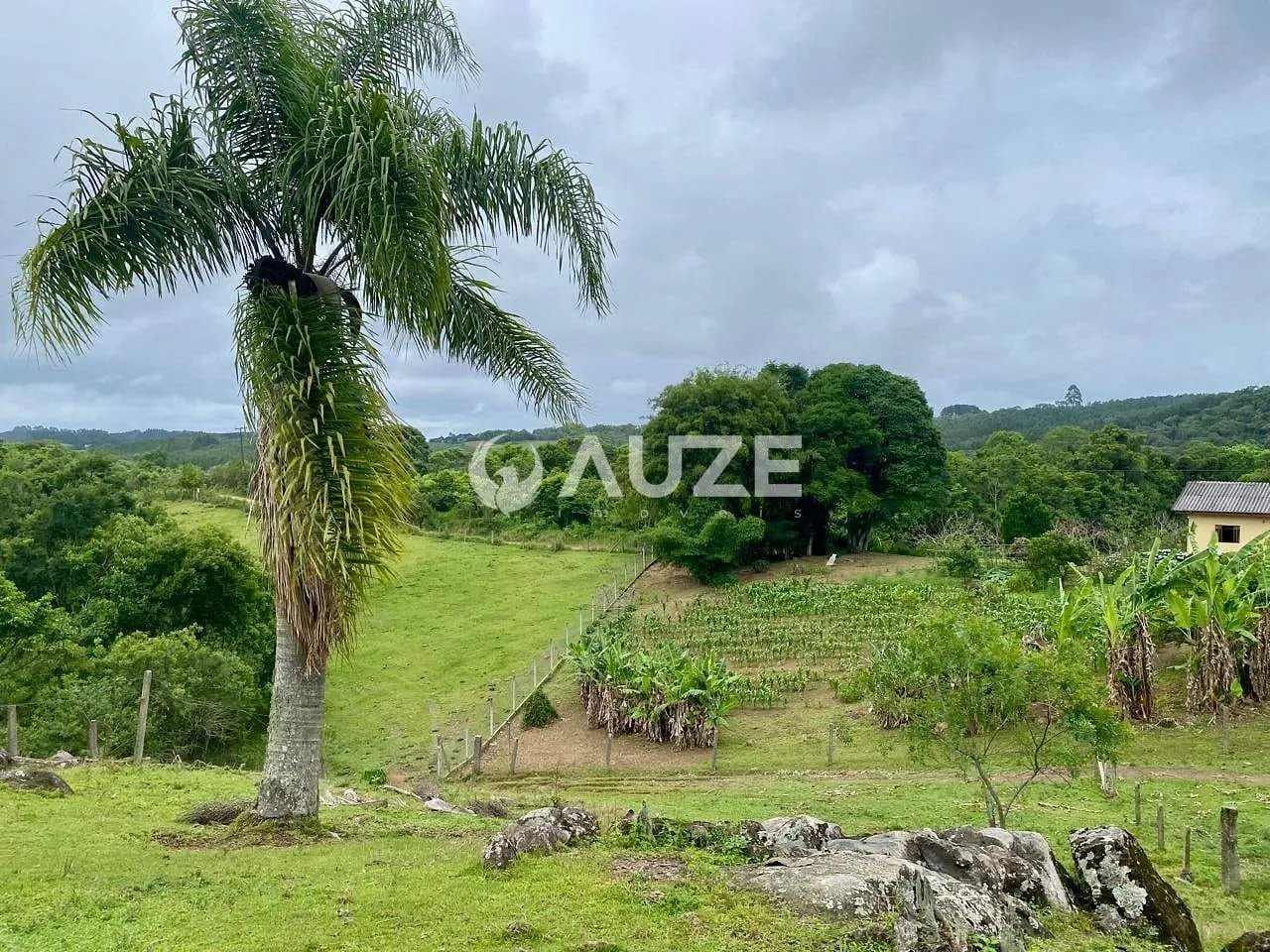 Chácara, 3 quartos, 7 hectares - Foto 62