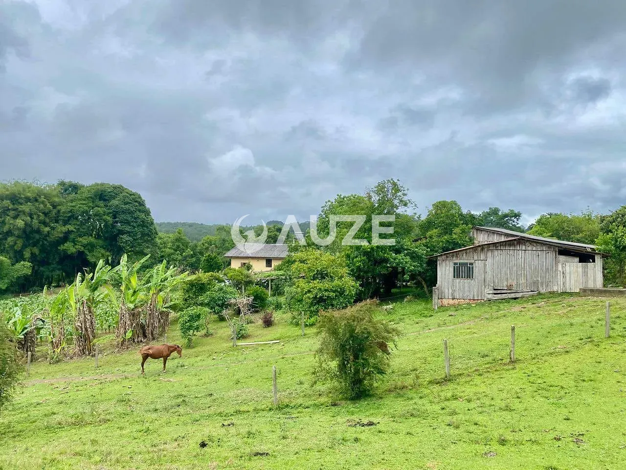 Chácara, 3 quartos, 7 hectares - Foto 15