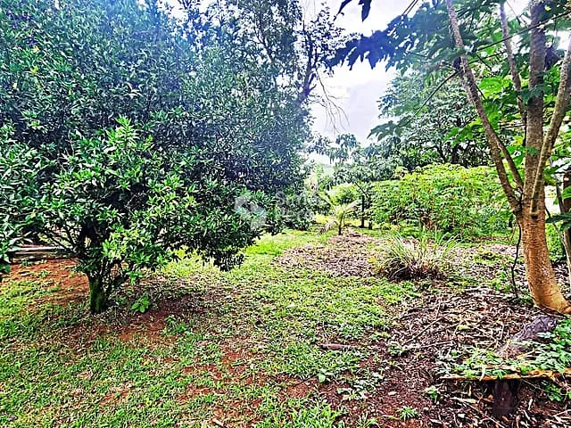Chácara 5 quartos e 4 banheiros, à venda, no bairro Balança em Simão Pereira