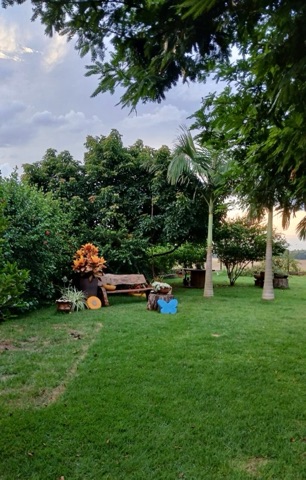 Foto do Chácara - Chácara à venda,  1.000M, com Piscina -  Mandaguari, PR | Villeman Imóveis