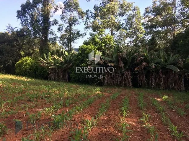 Chácara com 6600m², à venda, no bairro Picada Arroio do Meio em Arroio Do Meio