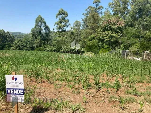 Chácara com 6600m², à venda, no bairro Picada Arroio do Meio em Arroio Do Meio