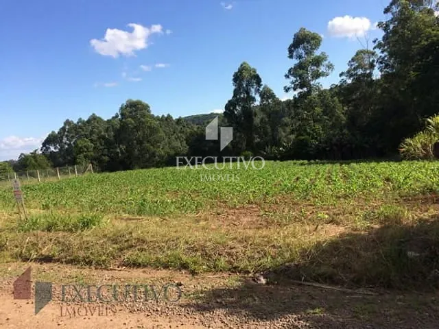 Chácara com 6600m², à venda, no bairro Picada Arroio do Meio em Arroio Do Meio