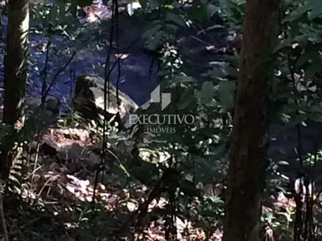 Chácara com 6600m², à venda, no bairro Picada Arroio do Meio em Arroio Do Meio