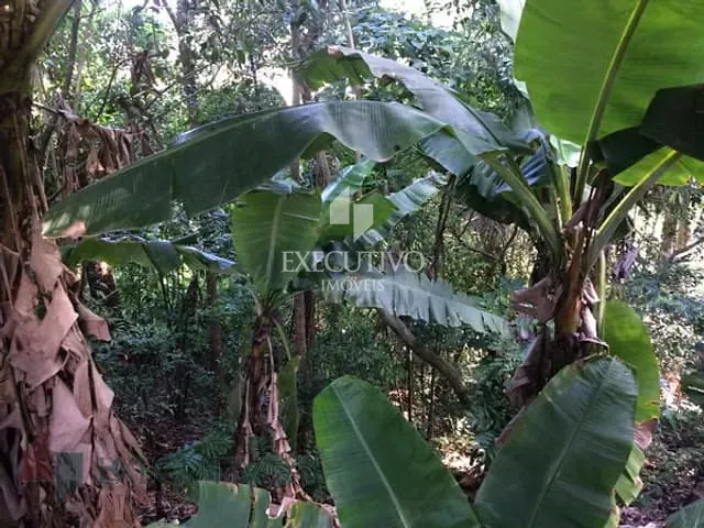 Chácara com 6600m², à venda, no bairro Picada Arroio do Meio em Arroio Do Meio