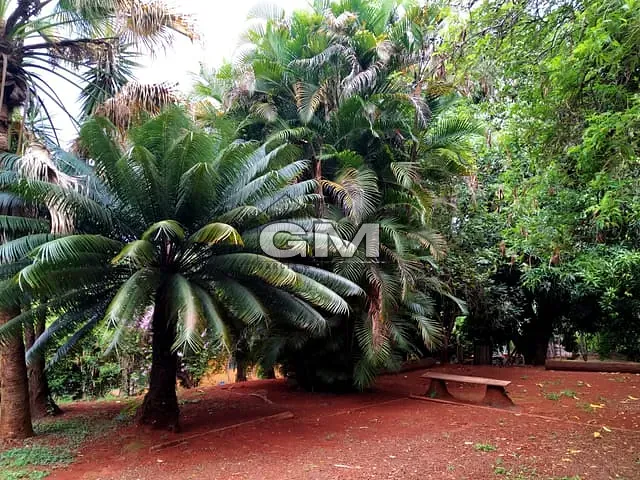 Chácara com 5600m² 1 quarto e 2 banheiros, à venda, no bairro Quinta da Boa Vista em Ribeirão Preto